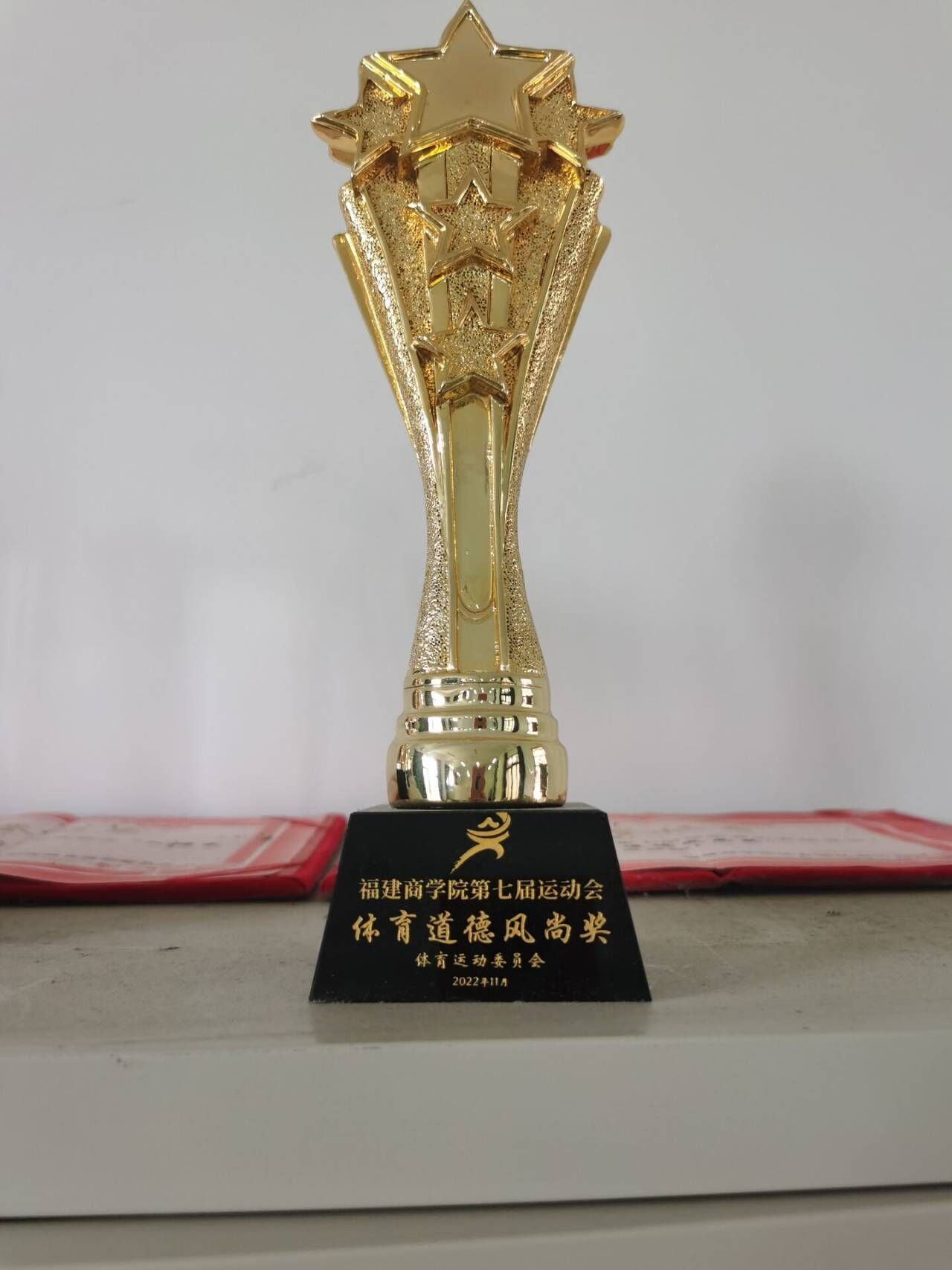 98858vip威尼斯下载第七届运动会体育道德风尚奖